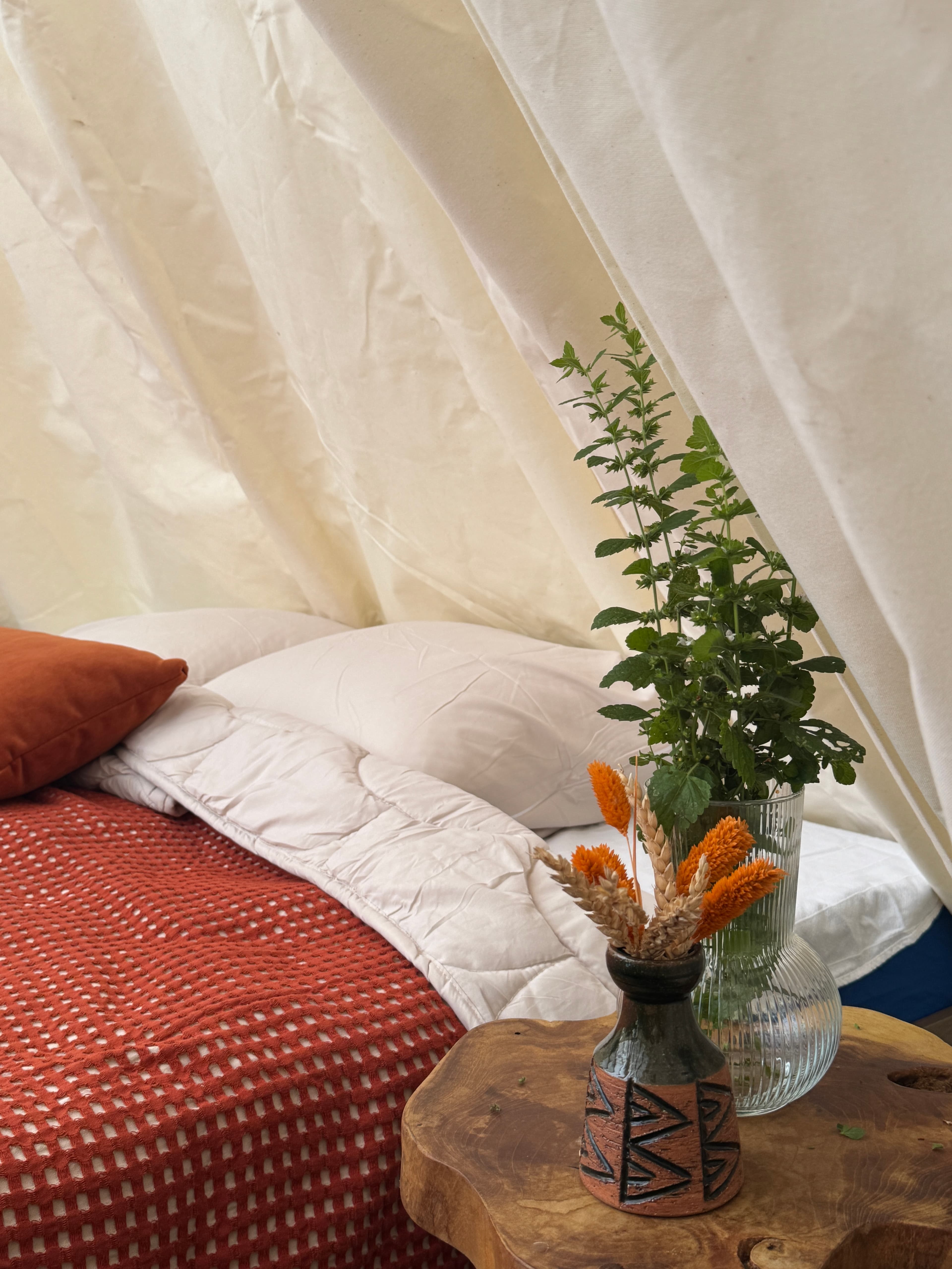 Beekrust — An Outdoor Experience in a Tipi, Surrounded by Nature — photo 4