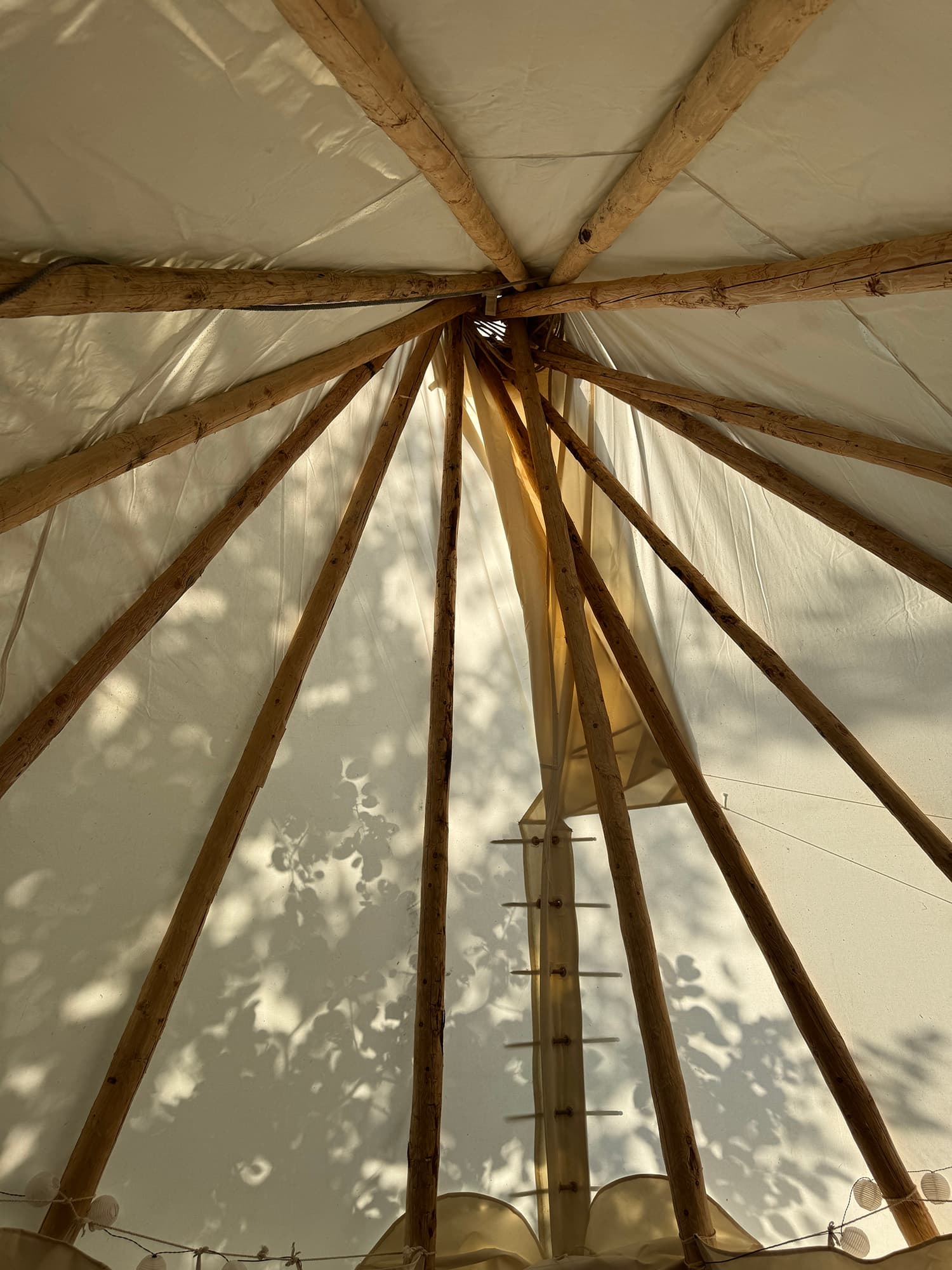 Beekrust — An Outdoor Experience in a Tipi, Surrounded by Nature — photo 6